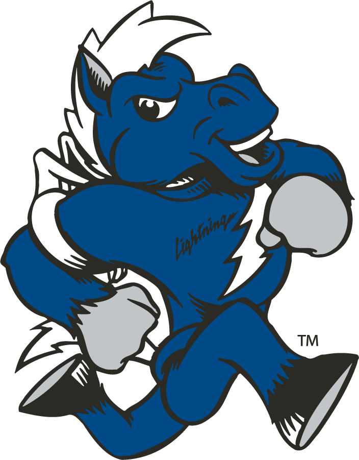 Middle Tennessee Blue Raiders 1998-2015 Mascot Logo DIY iron on transfer (heat transfer)
